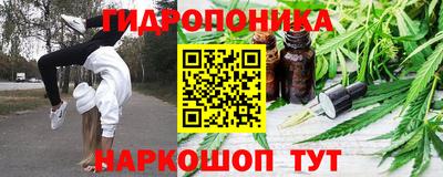 амф Краснознаменск