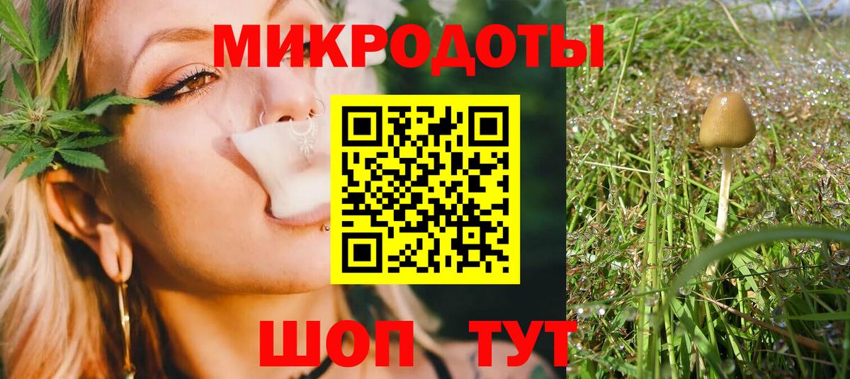Псилоцибиновые грибы Cubensis  Вход с VPN  Карачаевск 